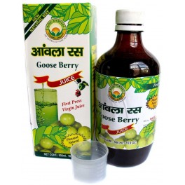 Basic Ayurveda Gooseberry Juice 500ml