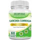 Morpheme Garcinia Cambogia