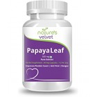 Papaya Leaf Powder 100g