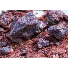 Black Salt Whole