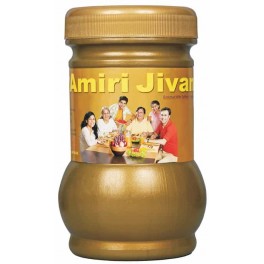 Amiri Jivan Unjha