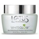 Lotus Herbals Whiteglow Skin Whitening & Brightening Gel Cream(60 g) (Pack of 3)