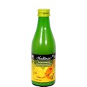 Dabur Hommade Lemoneez 250 ml